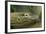 Komodo Dragon-Joe McDonald-Framed Photographic Print