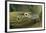 Komodo Dragon-Joe McDonald-Framed Photographic Print