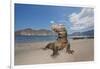 Komodo dragons on shore with saliva dripping from mouth, Komodo National Park, Indonesia-David Fleetham-Framed Photographic Print