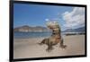 Komodo dragons on shore with saliva dripping from mouth, Komodo National Park, Indonesia-David Fleetham-Framed Photographic Print