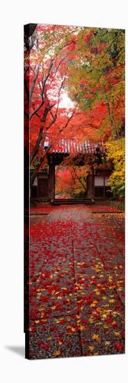 (Komyoji Temple) Kyoto Japan-null-Stretched Canvas