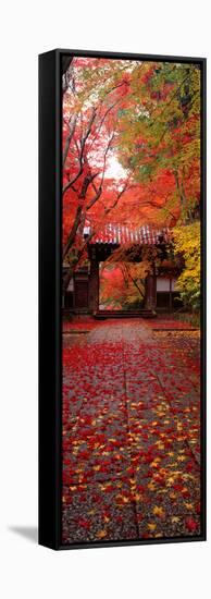 (Komyoji Temple) Kyoto Japan-null-Framed Stretched Canvas