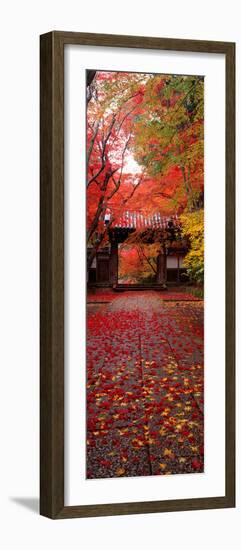 (Komyoji Temple) Kyoto Japan-null-Framed Premium Photographic Print