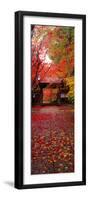 (Komyoji Temple) Kyoto Japan-null-Framed Premium Photographic Print