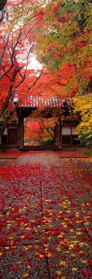 '(Komyoji Temple) Kyoto Japan' Photographic Print | AllPosters.com