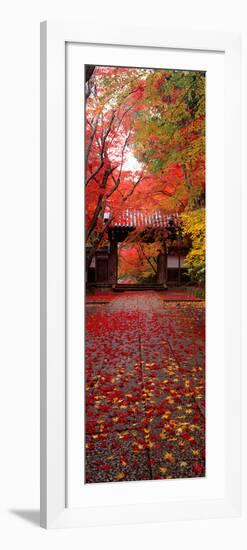 (Komyoji Temple) Kyoto Japan-null-Framed Photographic Print