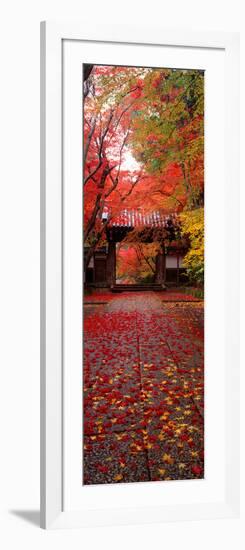 (Komyoji Temple) Kyoto Japan-null-Framed Photographic Print