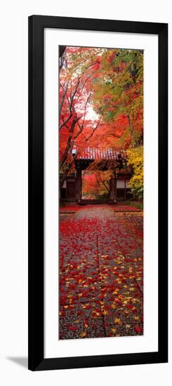 (Komyoji Temple) Kyoto Japan-null-Framed Photographic Print