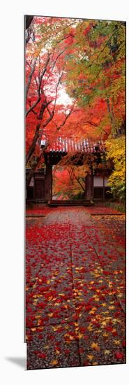 (Komyoji Temple) Kyoto Japan-null-Mounted Photographic Print