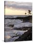 Kona Coastline, Island of Hawaii, USA-Savanah Stewart-Stretched Canvas