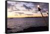 Kona, Hawaii, Big Island, Tiki Torch over Ocean at Kailua-Kona Beach-Bill Bachmann-Framed Stretched Canvas