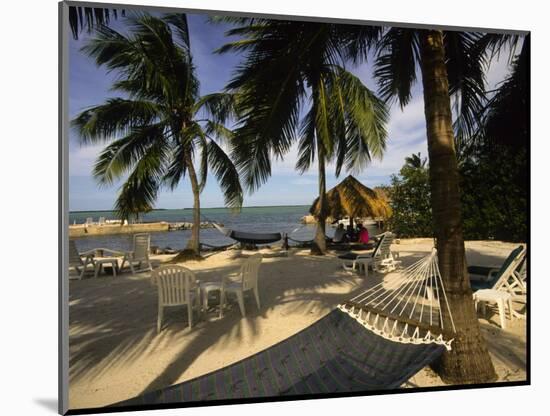 Kona Kai Resort, Key Largo, Florida, USA-Ellen Clark-Mounted Photographic Print