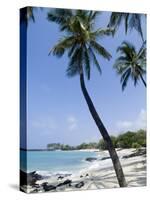 Kona State Beach, Island of Hawaii (Big Island), Hawaii, USA-Ethel Davies-Stretched Canvas