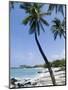 Kona State Beach, Island of Hawaii (Big Island), Hawaii, USA-Ethel Davies-Mounted Photographic Print