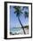 Kona State Beach, Island of Hawaii (Big Island), Hawaii, USA-Ethel Davies-Framed Photographic Print