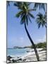 Kona State Beach, Island of Hawaii (Big Island), Hawaii, USA-Ethel Davies-Mounted Photographic Print