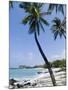 Kona State Beach, Island of Hawaii (Big Island), Hawaii, USA-Ethel Davies-Mounted Photographic Print