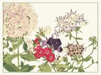 Japanese Flower Garden VI-Konan Tanigami-Art Print