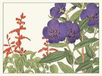 Small Japanese Flower Garden I-Konan Tanigami-Stretched Canvas