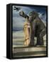 Kong-J Hovenstine Studios-Framed Stretched Canvas