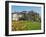 Kongens Nytorv (King's New Square) with the Royal Theatre, Copenhagen, Denmark, Scandinavia, Europe-Jean Brooks-Framed Photographic Print