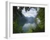 Konigssee, Berchtesgaden National Park, Bavaria, Germany-Gary Cook-Framed Photographic Print