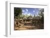 Konso Village, Rift Valley, Family Compound, Ethiopia, Africa-Martin Zwick-Framed Photographic Print