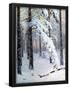 Essential Black