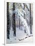 Gramercy White