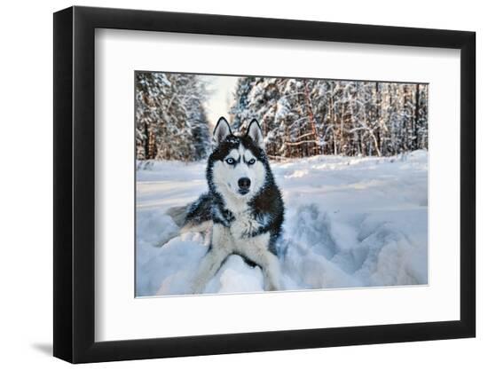 Photographic Print, , large