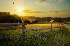 Art Rural Landscape. Field and Grass-Konstanttin-Photographic Print