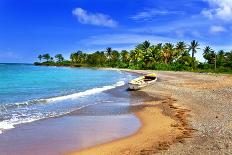 Jamaica. A National Boat on Sandy Coast of a Bay-Konstik-Photographic Print