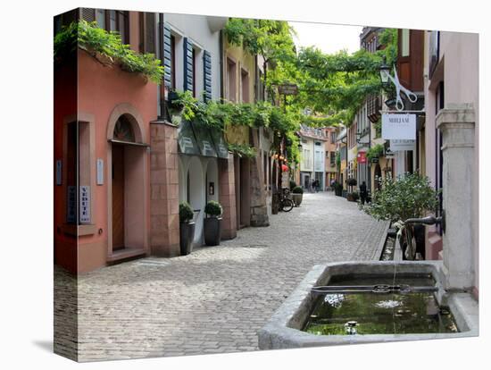 Konvikstravue, Old Town, Freiburg, Baden-Wurttemberg, Germany, Europe-Hans Peter Merten-Stretched Canvas