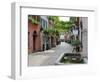 Konvikstravue, Old Town, Freiburg, Baden-Wurttemberg, Germany, Europe-Hans Peter Merten-Framed Photographic Print