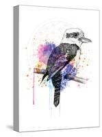 Kookaburra-Karin Roberts-Stretched Canvas