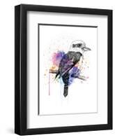 Kookaburra-Karin Roberts-Framed Art Print