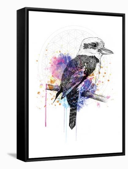 Kookaburra-Karin Roberts-Framed Stretched Canvas