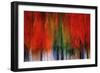 Kootenay Fall 2017-Ursula Abresch-Framed Photographic Print