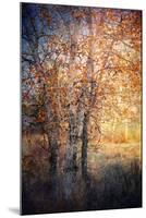 Kootenay Fall 2-Ursula Abresch-Mounted Premium Photographic Print