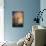 Kootenay Fall 2-Ursula Abresch-Mounted Premium Photographic Print displayed on a wall