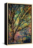 Kootenay Fall 3-Ursula Abresch-Framed Stretched Canvas