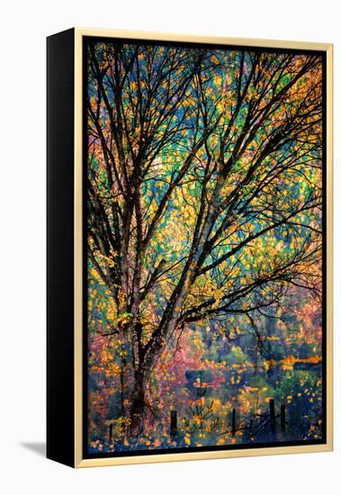 Kootenay Fall 3-Ursula Abresch-Framed Stretched Canvas