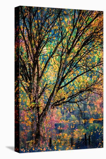 Kootenay Fall 3-Ursula Abresch-Stretched Canvas
