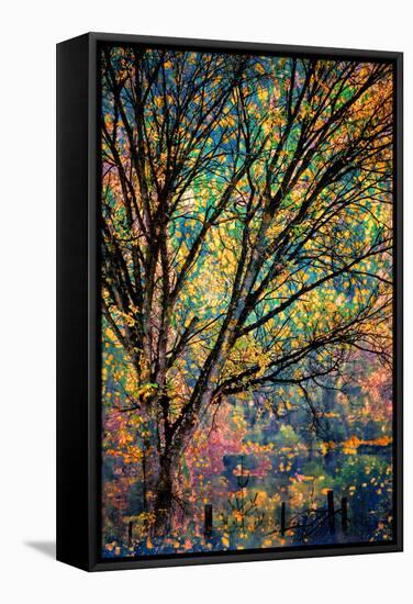 Kootenay Fall 3-Ursula Abresch-Framed Stretched Canvas