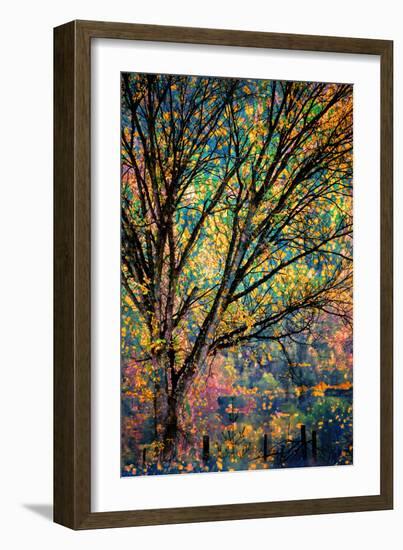 Kootenay Fall 3-Ursula Abresch-Framed Premium Photographic Print