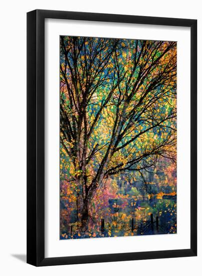 Kootenay Fall 3-Ursula Abresch-Framed Premium Photographic Print