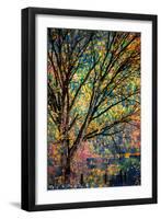 Kootenay Fall 3-Ursula Abresch-Framed Premium Photographic Print