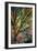 Kootenay Fall 3-Ursula Abresch-Framed Premium Photographic Print