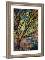 Kootenay Fall 3-Ursula Abresch-Framed Photographic Print