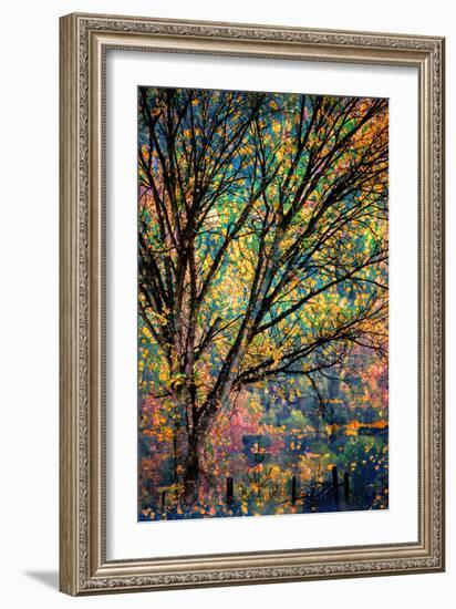 Kootenay Fall 3-Ursula Abresch-Framed Photographic Print